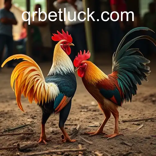 Exploring the Evolution of Sabong Games in the Digital Age